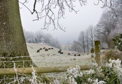 pagewoman:   Winter in the Cotswolds     by Ian.W.Stokes   