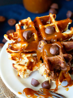 verticalfood:  Peanut Butter Cup Doughnut