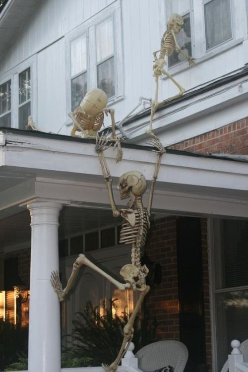 sixpenceee:  Climbing skeletons make one creepy halloween decoration!