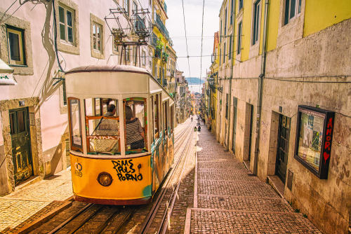 pani-lisowa:Retro trams on the streets of Lisbon, Portugal.