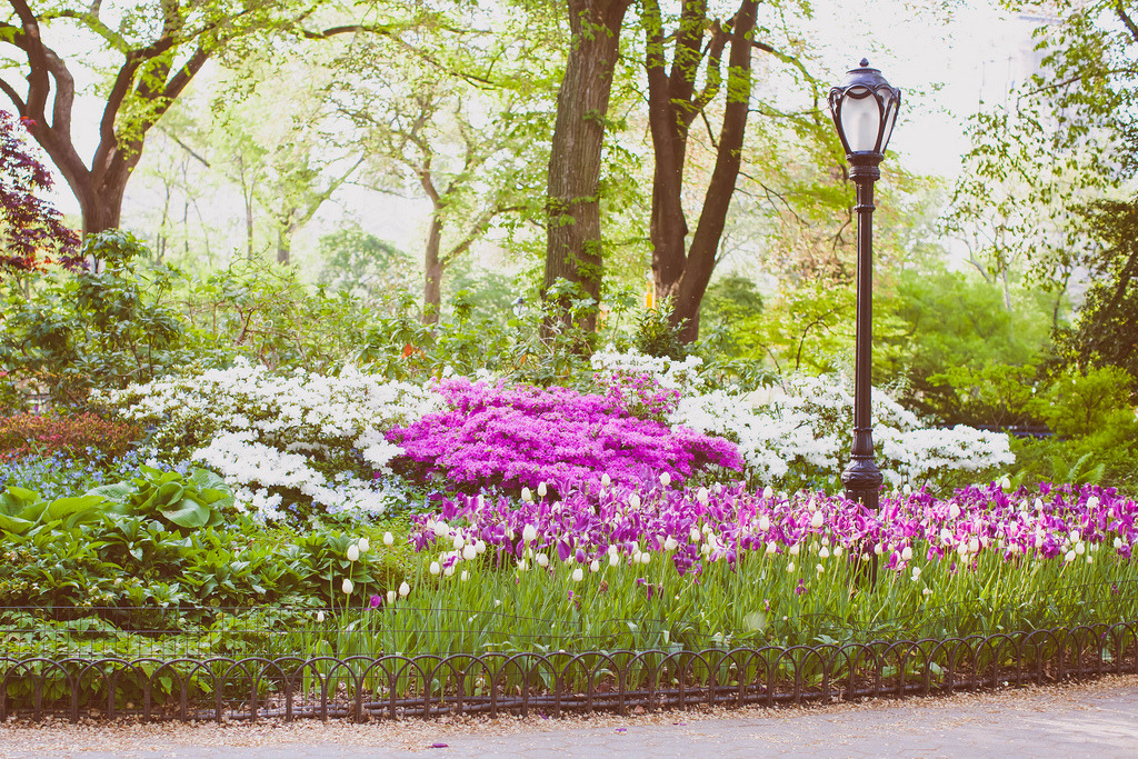 jacindaelena:  NYC || Rebecca Dale