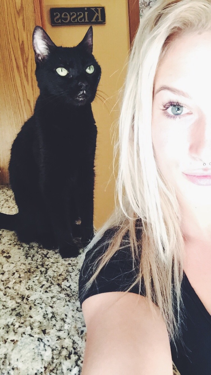ikittenyou:  Just catting around