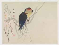 Heaveninawildflower:  ‘Two Swallows Perched On Weeping Cherry’ ( Meiji Era, 1900S