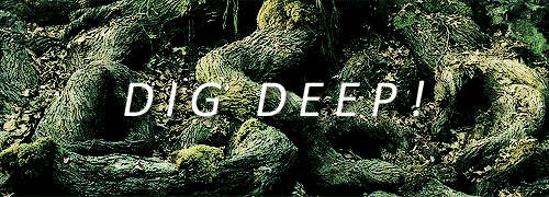 brucebannrs:  Lord of the Rings Reread: The Old Forest Tom sprang away, and breaking
