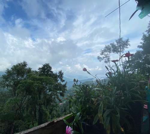The Balcony Of My Room Is Nothing Less Than A Paradise.