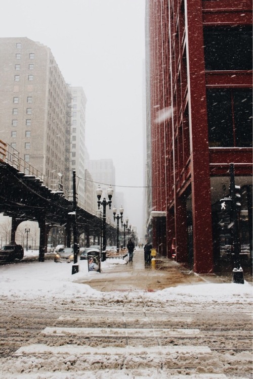fantasmicly: Chicago is absolutely covered in snow