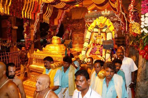 Glimpses of heaven, the Venkateswara temple, Tirumala