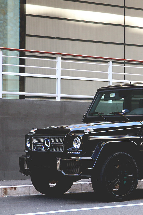 wearevanity:  Mercedes-Benz G 65 AMG 
