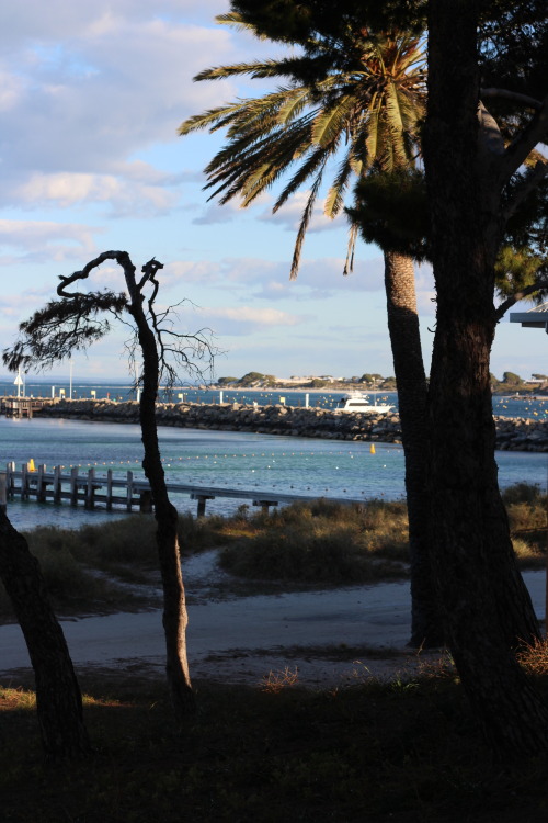 Rottnest Island, Western Australia. 2014