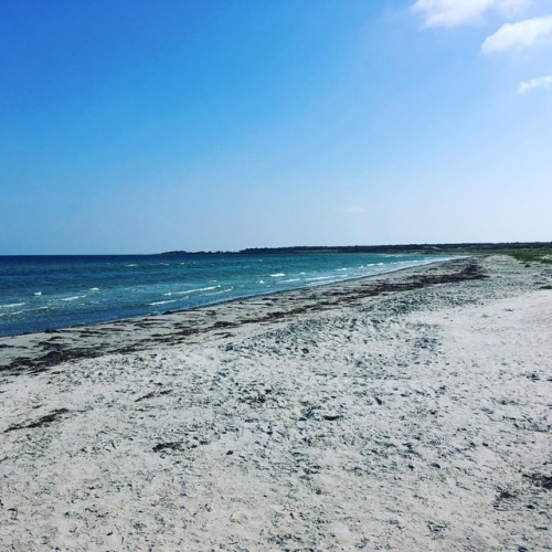 #beach #storedal #læsø #denmark (hier: Storedalsvej)