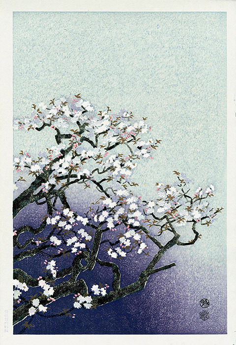 gardenofthefareast:Cherry Blossoms by Eiichi Kotozuka