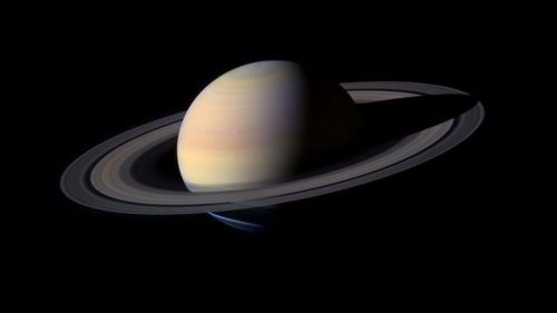 wonders-of-the-cosmos:Saturn has 62 moons discovered to date. Each one with different characteristic