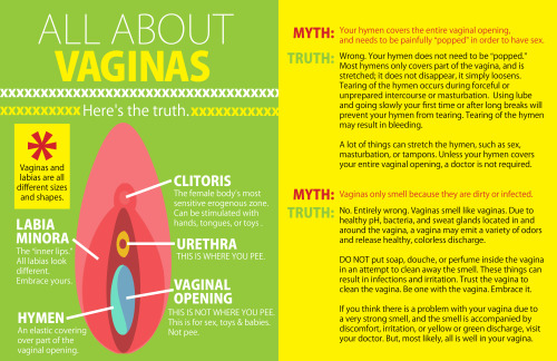     Here is a brief guide to some of the important things you never learned about in sex ed.   Debunking myths about anatomy  Brief overview of sexuality and gender (More complex version here) Slut-shaming and consent Various types of birth control