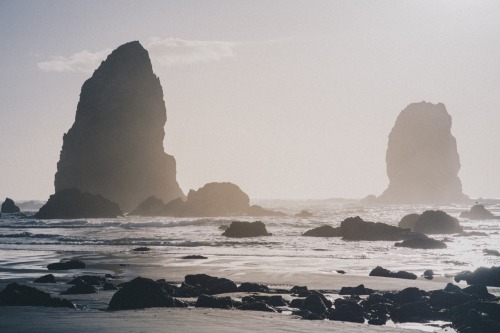 withoutrootsco:we live in a beautiful worldcannon beach, october 2016