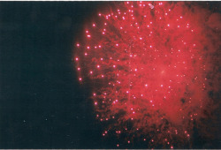 floweryskeleton:  Fireworks by JennyGreer on Flickr. 