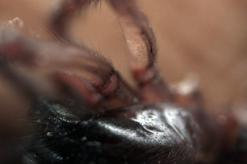 Some new reverse Macro…..Enough to give you nightmares?