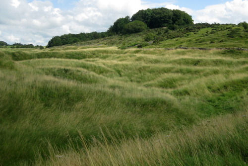 Roman lead mines at Charterhouse (Somerset, England).  Second photofrom the east, third photo from t