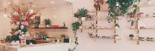 layoutshq:aesthetic peachy headers▸ please like / reblog if you save or use▸ don’t claim them as you