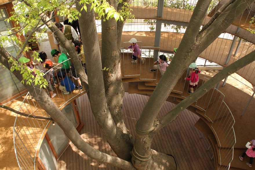 sixpenceee:  Japanese Kindergarten Built Around A Tree With A Legendary StoryFuji