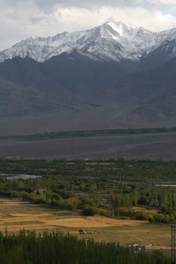 patagoniaphotos:  Himalaya Mountains, Ladakh http://easyblog.it/photos/india/ladakh/170909_monastero-tiksey/