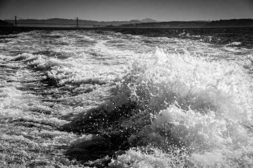 Boat trip out to the Farallon Islands, 2013.