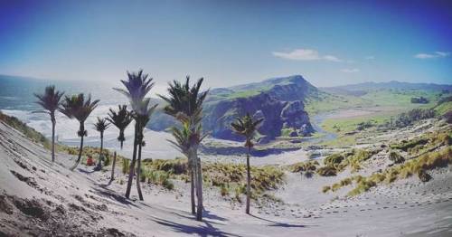 Beach views on point. West-Haven coast line, New Zealand (OC) (1080 x 566) ✈