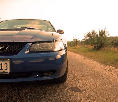 Muscle Cars Fans