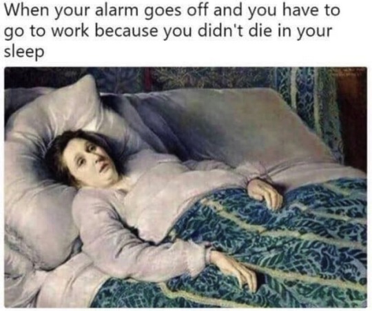 dankmemeuniversity: 