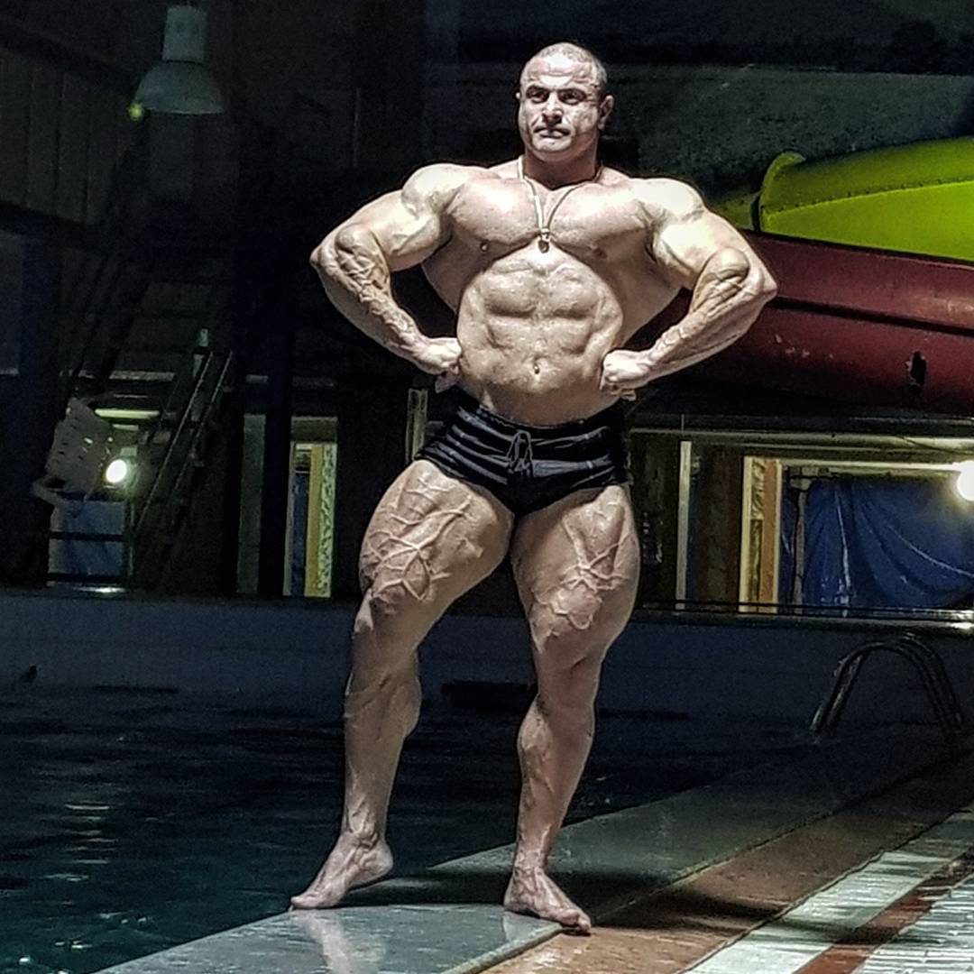   Jafar Ghafarnezhad  