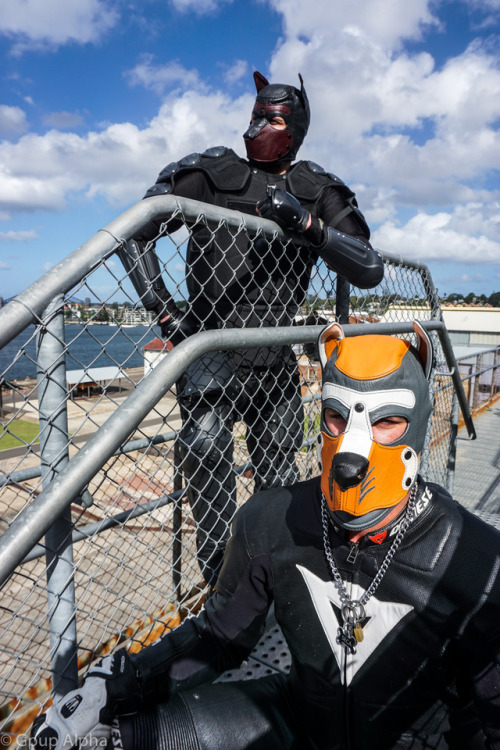 Love this pics of @secapup & @alphapupgadget I took earlier this year at our Sirius Pup camp… Gruff! 