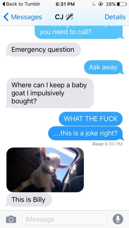 Baby Goats and Friends adult photos