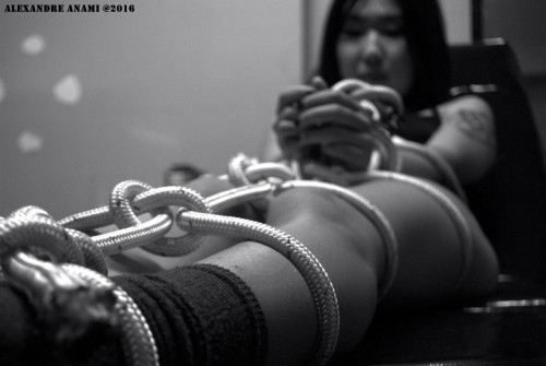 Porn Pics alexandreanami:  #japanese #shibari #bondage