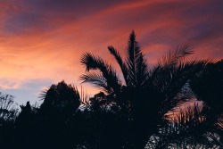 lumiant: I think my favourite thing to capture photographs of is the sky, and the sunset. When the clouds turn all whispy and golden purple colours, and the trees create silhouettes. It’s just perfect.