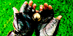 daenerys-targaryen-archive:  get to know me meme: 1/10 movies ♦ the harry potter