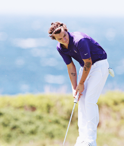 dailyonedirection:  (x) 