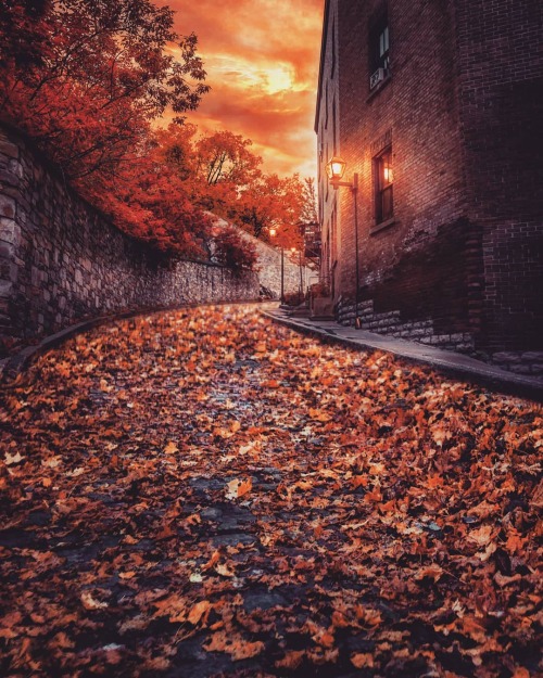 autumncozy:By manucoveney