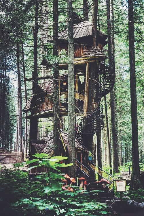 allowyourselftosaywhatif:  🌎 on We Heart It.