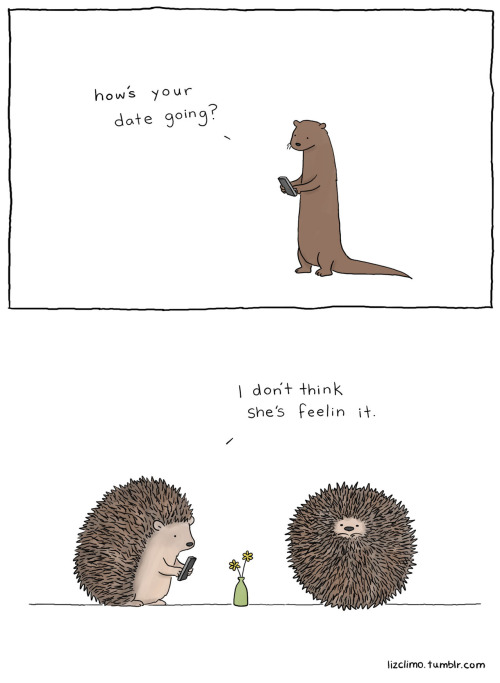 nativeoregongingerhippie:  ejacu-latte:  thegreycatsby:  theamericankid:  These are cute.  IS THAT AN OTTER TEXTING A HEDGEHOG  The dino one is so cute  an otter texting a hedgehog about a failing date…. 