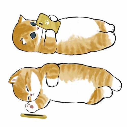 julieterbang:  mofu_sand