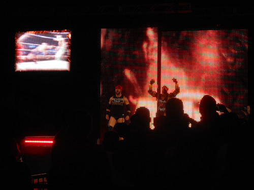 XXX rollinslayer:  WWE Live; June 20th, 2014 photo