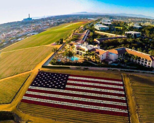 crustyoltanker - Freedom, from the blood of Patriots.