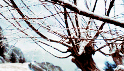 shoother:  harry potter + seasons 