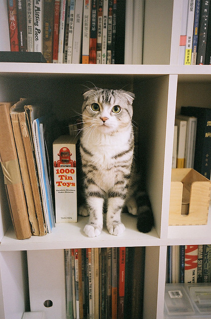 rllygay:  untitled by changchihhsiang on Flickr.