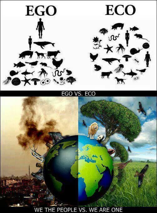 People need to think this way.
We are the equal of all other species on our planet. Just because we are lucky enough to be born a homo sapien doesn’t mean we have the right or power to take lives of other species less powerful around us. We are one...