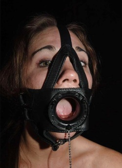 disciplinemaster:  You’re a smart whore right? You know the purpose of that gag….and why a line of men is forming…..