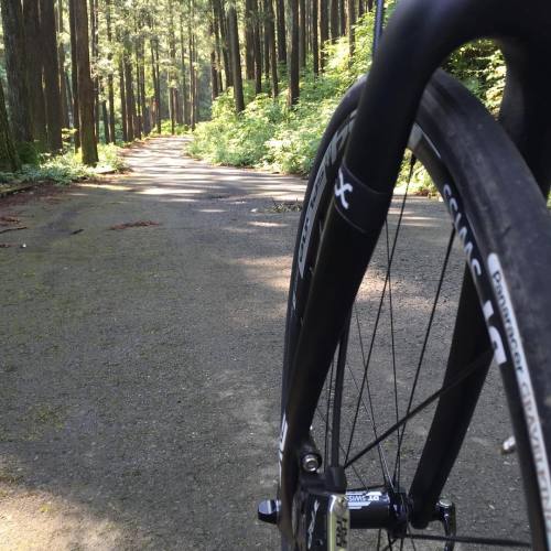 bomberrider: Cycling in forest part2. #cycling #東京都 #tonicfab #mcxd #enve (入山峠)