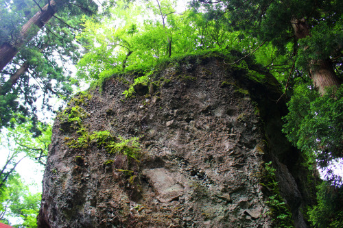 20200627（土）勝山市にある大矢谷白山神社（Oyadani Hakusan Shrine）に行ってまいりました。以前から一度は訪ねてみたい場所の一つだったんです。車から降りて神社まで田んぼの横の