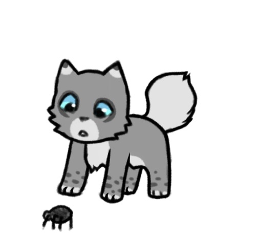 Kittens