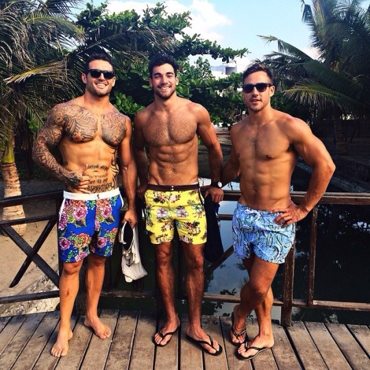 thongfaggot:  The ultimate - straight, strong, hot, masculine, alpha males wearing