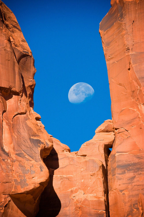Earth’s Moon… (by dcumminsusa)